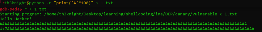 canary_img10.png