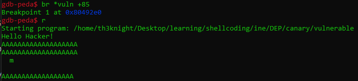 canary_img3.png