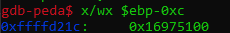 canary_img4.png