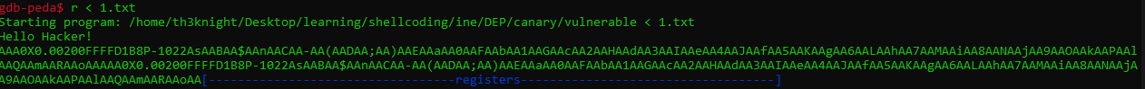 canary_img5.png