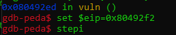 canary_img8.png